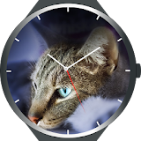 Cats Watch Faces icon