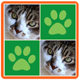 Cats Memory Match Game icon