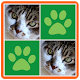 Cats Memory Match Game विंडोज़ पर डाउनलोड करें