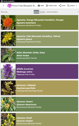 Screenshot of Flora of the Wasatch