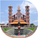 Cover Image of Download BVM Nativity Church Rajakumary 1.0 APK