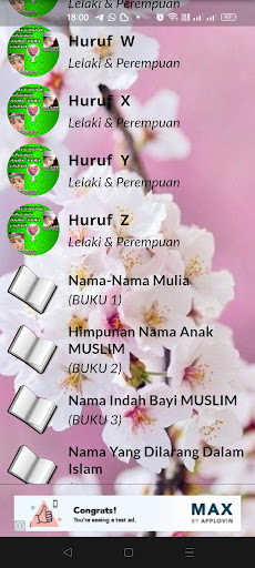 Nama-Nama Indah Bayi Muslim Screen 2
