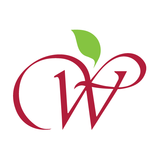 WAEF Connect Logo