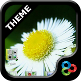 Nature v3 GO Launcher EX Theme icon