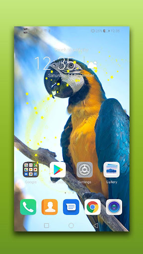 Bird Live Wallpaper