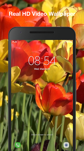 Tulips Live Wallpaper Screen 3