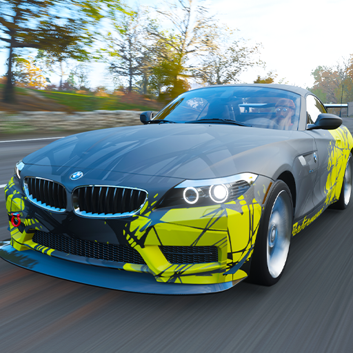 Drive BMW Z4 GT Race Simulator logo