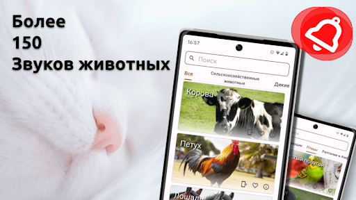 Предварительный просмотр приложения