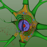 EON 3D Neuron Structure icon