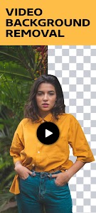 Video Background Remover Unknown
