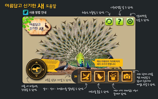 Android application 블루래빗새 - AR screenshort