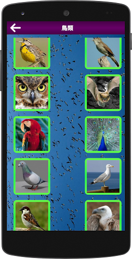 All Animal Sounds Ringtones