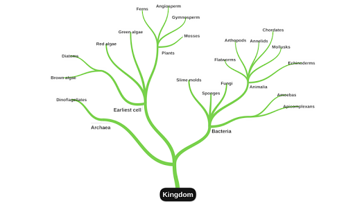 miMind - Easy Mind Mapping - Productivity - apps