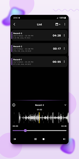 Audio Recorder: Voice Memos Screen 3