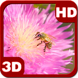 Happy Bee on a Pink Clover Flower icon
