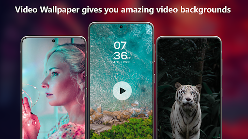Screenshot of Video wallpaper Set Video