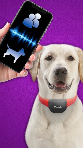 Translator with dogs language joke