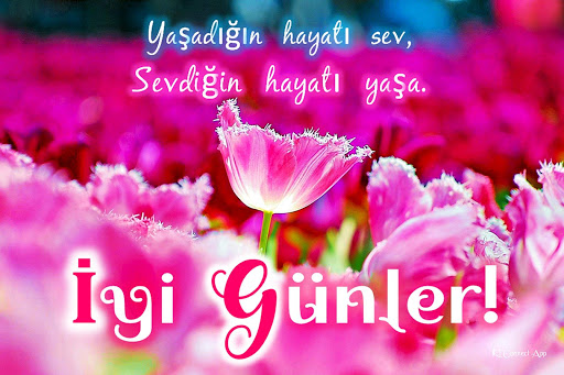 Android application Good morning night in Turkish screenshort