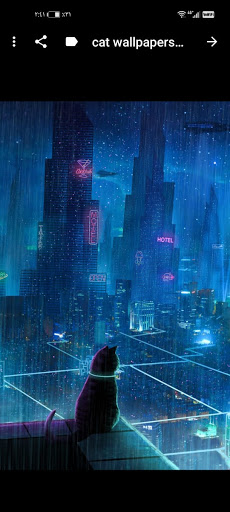 cat wallpapers black