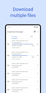 Download manager لقطة شاشة
