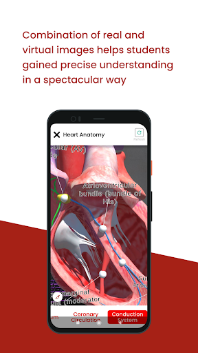 Gama Cardiac AR Screen 3