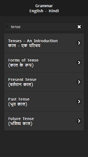 English Grammar in Hindi Screen 2