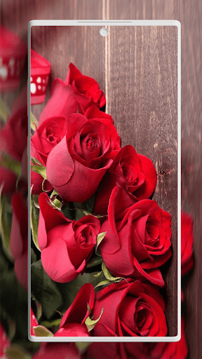 Screenshot of Rose Wallpaper