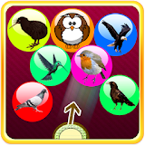 Bird Bubble Shooter icon