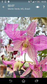 Captura 5 Rompecabezas: Flores android