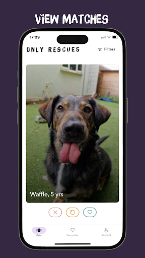 Only Rescues Screen 2