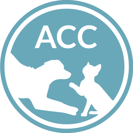 ACC of NYC Laai af op Windows