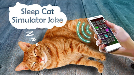 Sleep Cat Simulator Joke