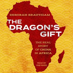 Icon image The Dragon's Gift: The Real Story of China in Africa