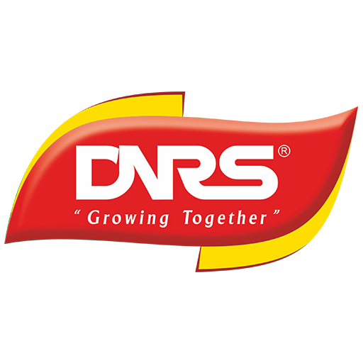 DNRS logo