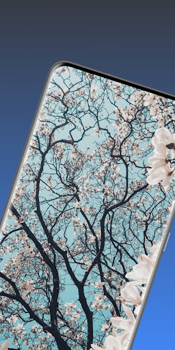 Android application spring wallpaper 4k screenshort