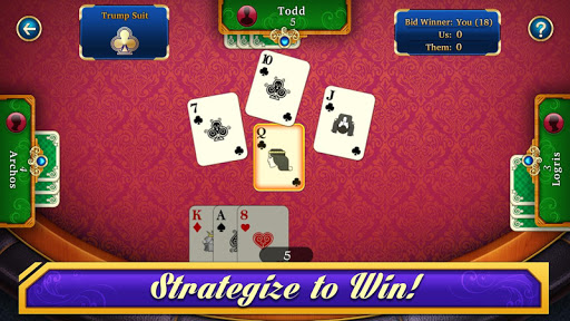 29 Card Game 3.2 screenshots 13