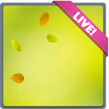 Leaves Live Wallpaper icon