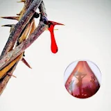 Sangre de Cristo icon