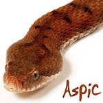 Aspic Apk