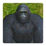 Angry Gorilla AR icon