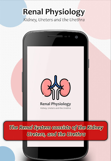 Renal Physiology Kidney Diseas Screen 2