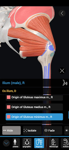 3D Organon Screen 2