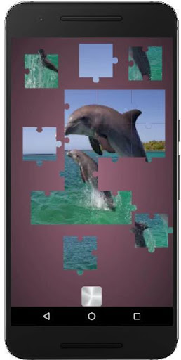 Real Dolphins Game : Jigsaw Pu Screen 3