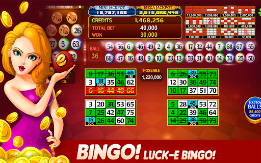 Luck'e Bingo : Video Bingo 1