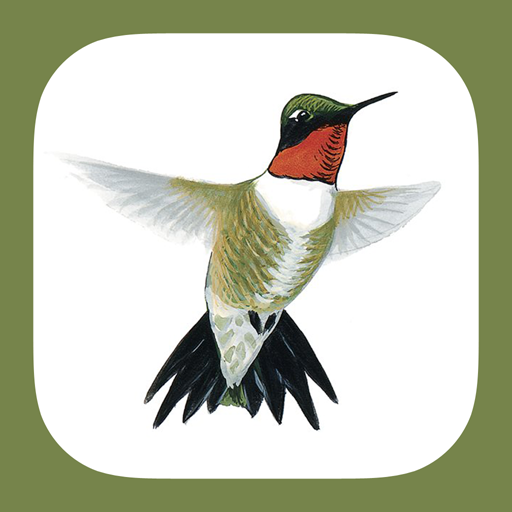Sibley Guide to Hummingbirds logo