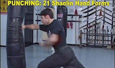 Shaolin Kung Fuのおすすめ画像4