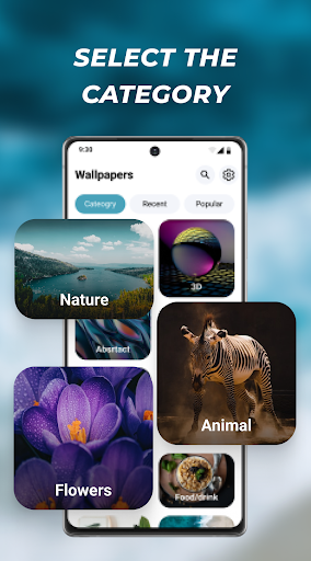 40000 Wallpapers & Backgrounds screenshot