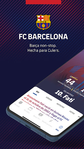 Vista previa de la aplicación