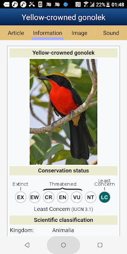 Birds of the Middle Africa
