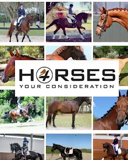 Horses 4 Your Consideration